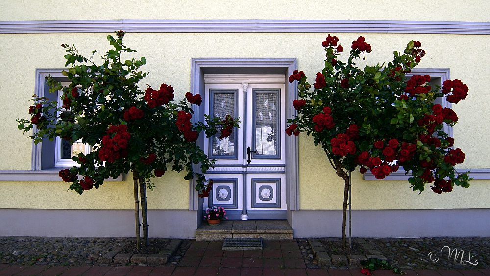 2019-06-27 141610 DSC05729 SONY ILCA-77M2 - 2019-06-27_141610_DSC05729_SONY_ILCA-77M2.jpg 2019-06-27_141610_DSC05729_SONY_ILCA-77M2.jpg