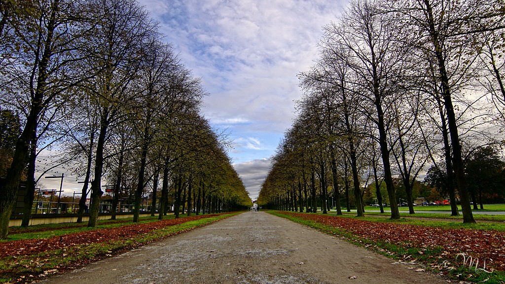 Herrenhäuser Allee in Hannover 2019-11-03_173928_DSC05954_SONY_ILCA-77M2.jpg