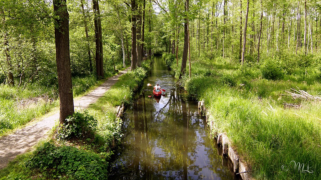 Rollkanal am Rundwanderweg Batzlin 2020-05-27_171210_DSC06343_SONY_ILCA-77M2.jpg