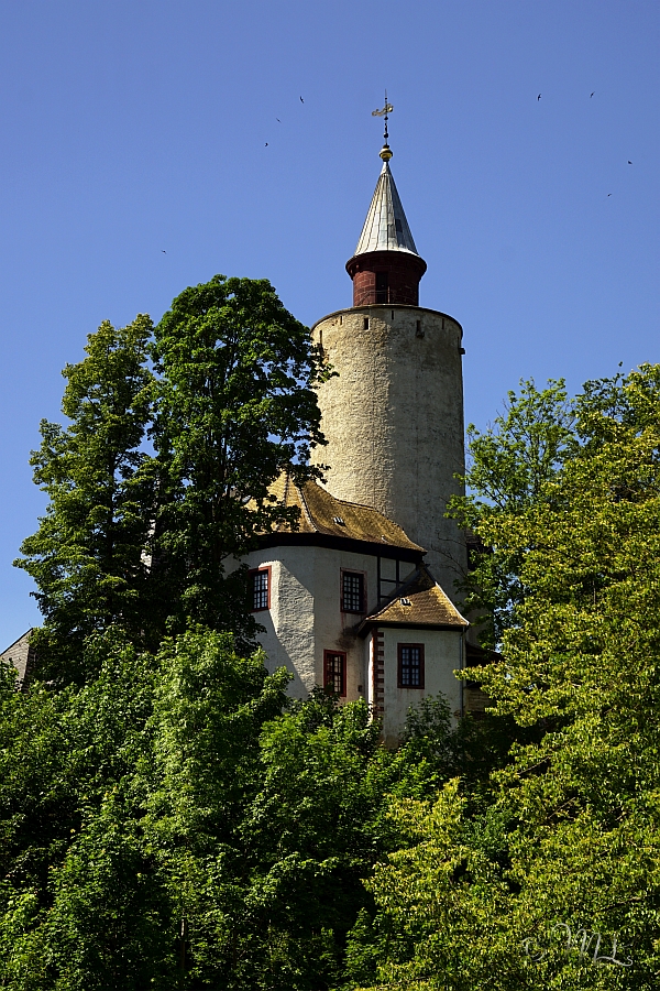 Burg Posterstein 2020-06-01_130526_DSC06480_SONY_ILCA-77M2.jpg