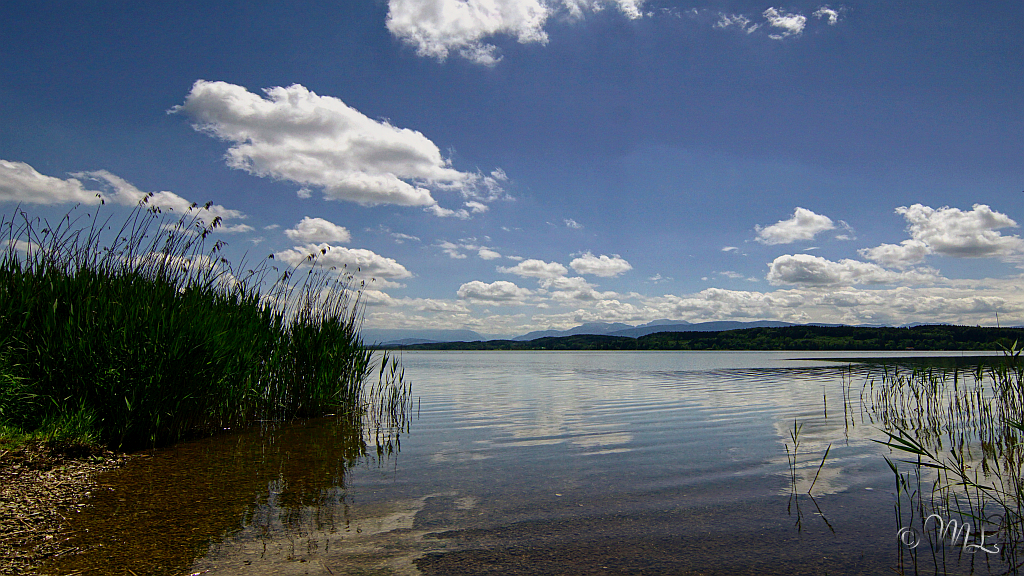 Waginger See 2022-05-30_135500_DSC07853_SONY_ILCA-77M2.jpg