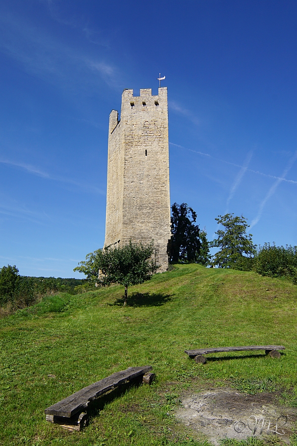 Burgruine Tautenburg 2023-08-19_10-40-49_DSC08604_SONY_ILCA-77M2.jpg